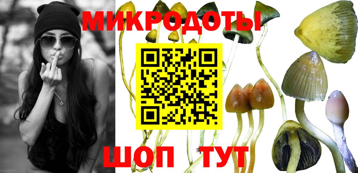 Галлюциногенные грибы Psilocybine cubensis Симферополь