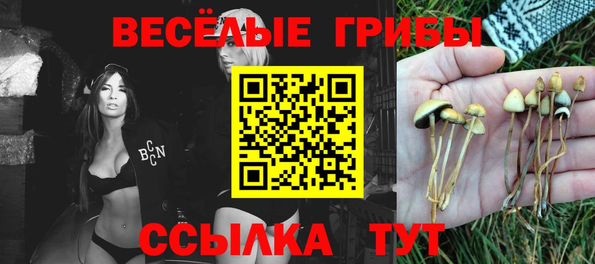 Галлюциногенные грибы GOLDEN TEACHER Симферополь