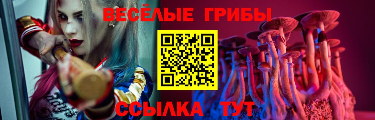 Псилоцибиновые грибы Cubensis  Симферополь  Псилоцибиновые грибы MAGIC MUSHROOMS 